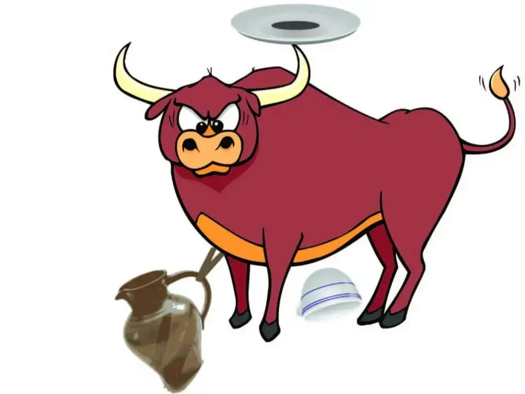 চায়না শপ